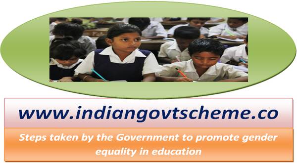 steps_taken_by_the_government_to_promote_gender_equality_in_education