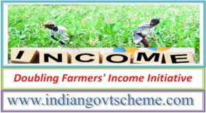 doubling_farmers_income_initiative