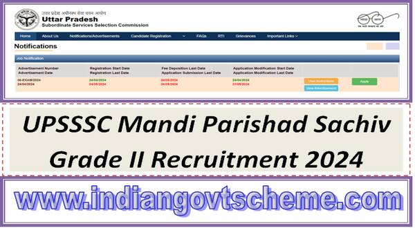 UPSSSC Mandi Parishad Sachiv Grade II Recruitment 2024