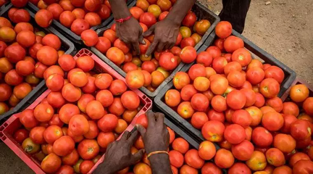 operation greens operation+greens