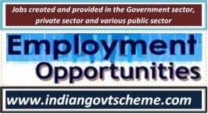 jobs_created_and_provided_in_the_government_sector_private_sector_and_various_public_sector