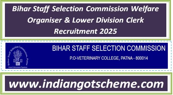 bihar_staff_selection_commission_welfare_organiser_&_lower_division_clerk_recruitment_2025