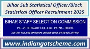 Bihar Sub Statistical Officer/Block Statistical Officer Recruitment 2025 2 bihar_sub_statistical_officer_block_statistical_officer_recruitment_2025