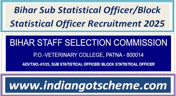 Bihar Sub Statistical Officer/Block Statistical Officer Recruitment 2025 