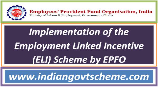 Implementation of the Employment Linked Incentive (ELI) Scheme by EPFO 15 implementation_of_the_employment_linked_incentive_eli_scheme_by_epfo