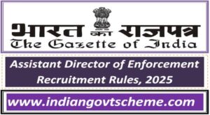 assistant_director_of_enforcement_recruitment_rules_2025