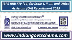 IBPS RRB XIV (14) for Scale-I, II, III, and Office Assistant (OA) Recruitment 2025 2 ibps_rrb_xiv_14_for_scale-i_ii_iii_and_office_assistant_oa_recruitment_2025