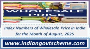 August 2025 Inflation Rate at 0.52%: Index Numbers of Wholesale Price in India Analysis and Key Drivers 2 index_numbers_of_wholesale_price_in_india_analysis_and_key_drivers